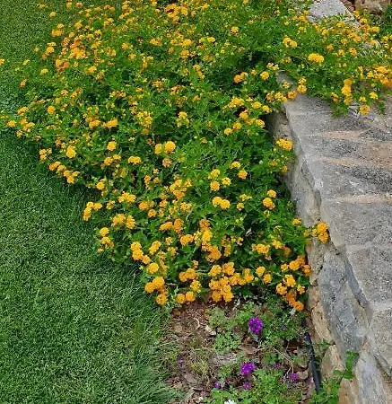 Balice Antica Dimora