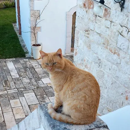 Balice Antica Dimora מלון מונופולי