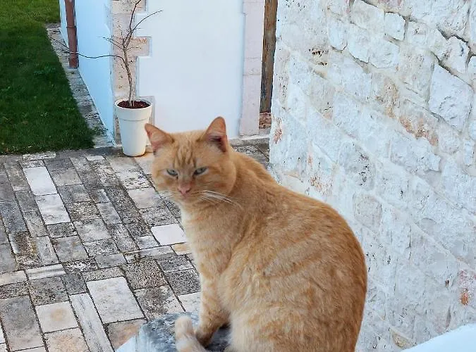 Balice Antica Dimora Hotel Monopoli