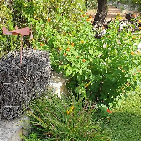 Balice Antica Dimora Bed & Breakfast Monopoli
