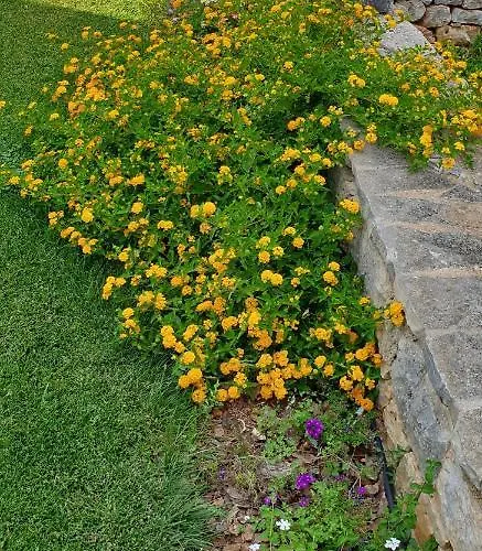 Balice Antica Dimora